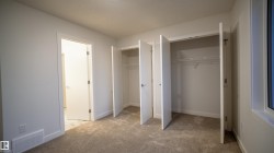 Bedroom featuring plush carpet flooring and multiple bi-fold closet doors - 