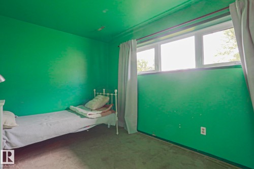 Room featuring bright green walls, a three-panel window, and wall-to-wall carpeting - 2007 67 Street, Edmonton, AB 