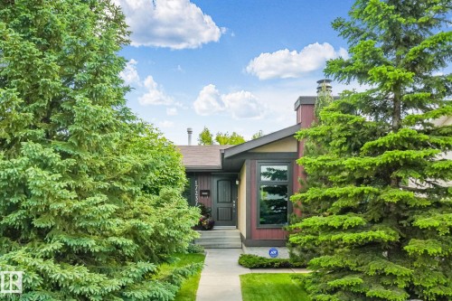 Contemporary residence featuring a paved walkway, mature evergreen trees, and a front entry with dark-framed windows - 17237 104 Street, Edmonton, AB 