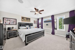 Spacious bedroom featuring light neutral wall tones, light carpet flooring, and a ceiling fan with integrated lighting - 