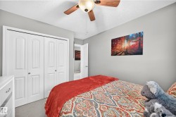 Bedroom featuring light gray walls, plush carpet flooring, a ceiling fan with integrated lighting, and white bi-fold closet doors - 