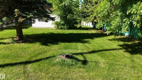 Expansive grassy yard with mature trees providing natural shading - 5416 51 Avenue, Andrew, AB 