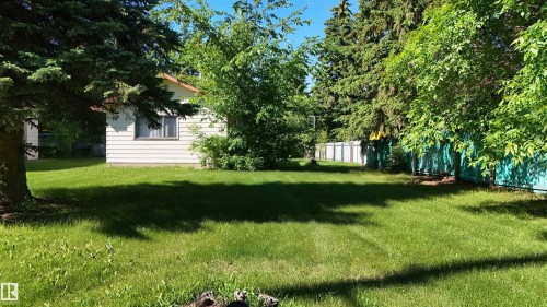 Expansive green lawn with mature trees providing natural shading - 5416 51 Avenue, Andrew, AB 