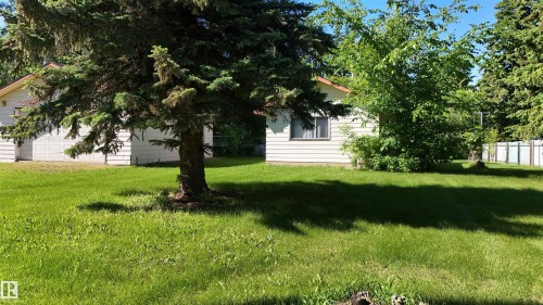 Expansive front yard featuring a mature evergreen tree - 5416 51 Avenue, Andrew, AB 