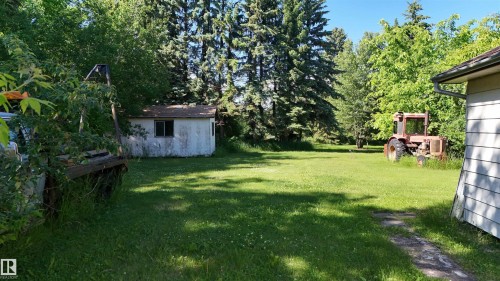 Expansive grassy yard area with mature trees and a detached shed - 5416 51 Avenue, Andrew, AB 