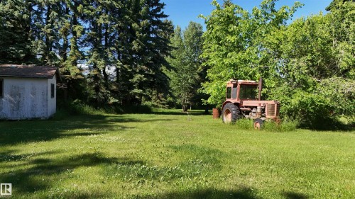 Expansive grassy area featuring a white storage shed with a brown shingle roof, mature evergreen trees, and broadleaf deciduous trees - 5416 51 Avenue, Andrew, AB 
