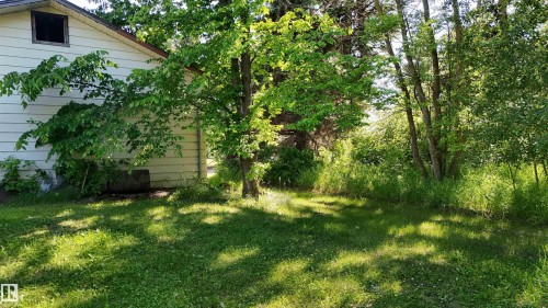 Expansive green lawn with dappled sunlight - 5416 51 Avenue, Andrew, AB 