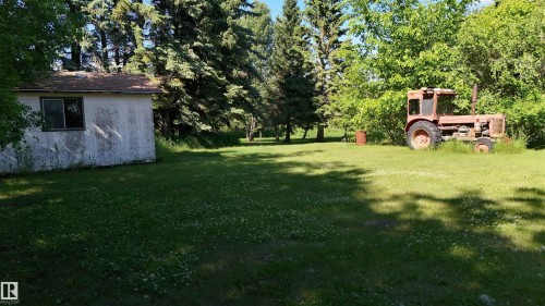 Expansive green lawn with mature trees and a rustic outbuilding featuring a single window - 5416 51 Avenue, Andrew, AB 