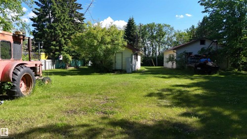 Expansive green lawn area featuring mature trees, a detached shed, and a single-story residence with light-colored siding - 5416 51 Avenue, Andrew, AB 