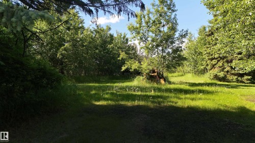 Expansive grassy area surrounded by a variety of mature trees and natural foliage - 5416 51 Avenue, Andrew, AB 