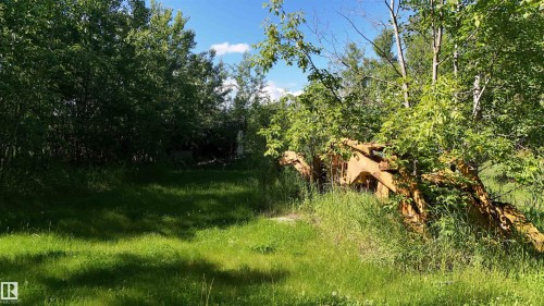 Expansive verdant lot featuring mature trees and established groundcover - 5416 51 Avenue, Andrew, AB 