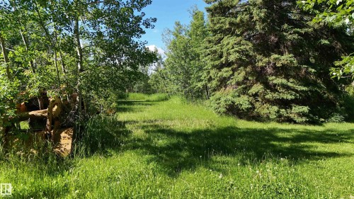 Expansive grassy area surrounded by lush foliage and mature trees, offering a private, natural setting - 5416 51 Avenue, Andrew, AB 