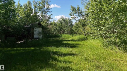 Expansive grassy area surrounded by mature trees, featuring a small shed with a white facade - 5416 51 Avenue, Andrew, AB 