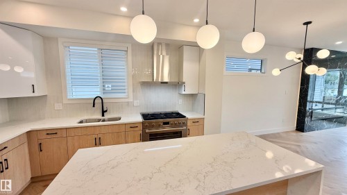 11712 122 Street, Edmonton, AB - Indoor Photo Showing Kitchen With Double Sink