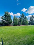 Expansive backyard featuring a manicured lawn, established trees, and a privacy fence - 