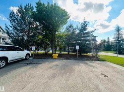 Paved parking area surrounded by mature trees and shrubs - 