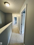 Hallway featuring neutral-toned carpet, light gray walls, and white trim - 