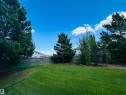 Expansive green lawn with a perimeter wood fence, surrounded by mature evergreen trees and varied deciduous plantings - 89 12050 17 Avenue, Edmonton, AB 