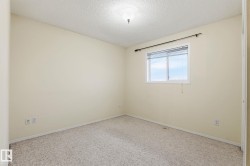 Neutral-toned walls complement the textured carpet flooring - 