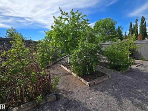 Landscaped garden beds with mature plantings, gravel pathways, and a perimeter fence - 704 Wildwood Point(E), Edmonton, AB 