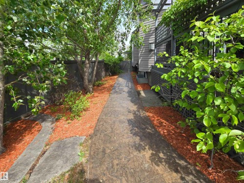 Stamped concrete pathway flanked by mature trees and red mulch beds - 704 Wildwood Point(E), Edmonton, AB 
