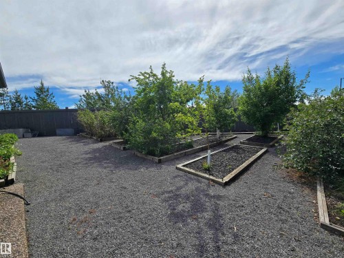 Gravel patio area featuring multiple raised garden beds with established trees and shrubs - 704 Wildwood Point(E), Edmonton, AB 
