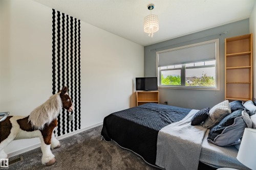 Wall-to-wall carpeting and a decorative ceiling light fixture - 704 Wildwood Point(E), Edmonton, AB 
