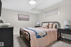 Bedroom with light gray wall paint, a low-profile window with white trim, and light gray carpet flooring - 