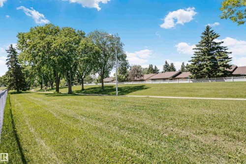 Expansive green space featuring a manicured lawn, mature deciduous trees, and evergreen trees - 1612 80A Street, Edmonton, AB 
