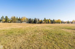 Expansive open field with natural grass and a clear sky backdrop - 