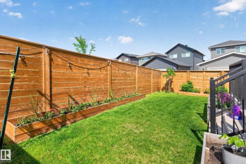 Lush green lawn surrounded by a natural wood fence with string lighting - 30 Rosewood Way, St. Albert, AB 