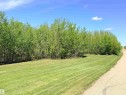 Expansive parcel featuring a verdant lawn, mature deciduous trees, and a visible road border - 50 Ave. 52 St., Rural Westlock County, AB 