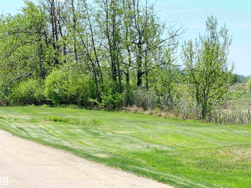 Expansive green lawn with a natural tree line backdrop - 50 Ave. 52 St., Rural Westlock County, AB 