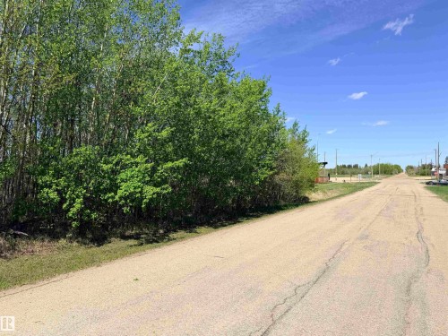 Expansive undeveloped lot with mature trees and natural vegetation - 50 Ave. 52 St., Rural Westlock County, AB 