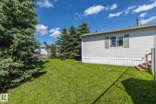 Expansive green lawn framed by mature evergreen trees - 143 48 3400 Street W, Stony Plain, AB 