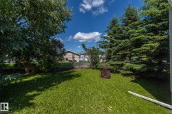 Expansive green lawn framed by mature evergreen and deciduous trees - 