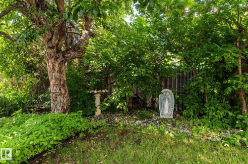 14643 88 Avenue, Edmonton, AB 