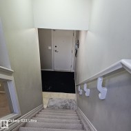 Carpeted staircase with wall-mounted handrail leading to a ground-level entry door - 