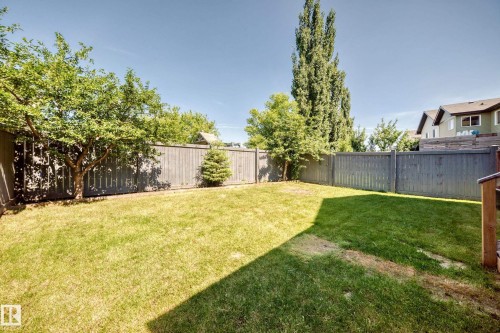 Expansive fenced backyard featuring a manicured lawn, established trees, and perimeter privacy fencing - 3433 Goodridge Link Link, Edmonton, AB 