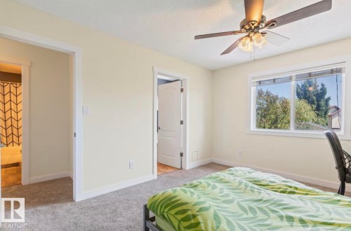 Carpeted room featuring a ceiling fan with integrated lighting, a double-paned window, and white trim throughout - 1007 Macewan Cl, Edmonton, AB 