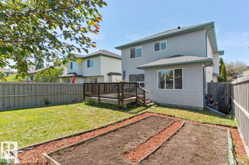 Spacious backyard featuring a wooden privacy fence, a large elevated deck with railings, and two distinct garden beds - 1007 Macewan Cl, Edmonton, AB 