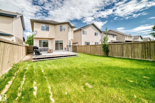 Expansive green lawn with a full wooden privacy fence - 1549 37C Avenue, Edmonton, AB 