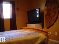 Image quality insufficient for description - 