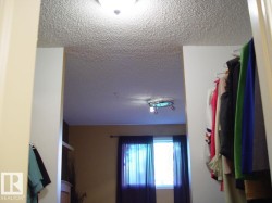 Image quality insufficient for description - 