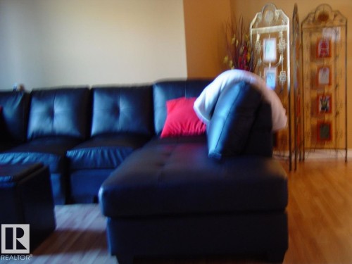Image quality insufficient for description - #116 10535 122 St Nw, Edmonton, AB - Indoor Photo Showing Living Room