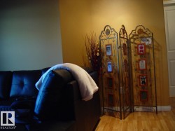 Image quality insufficient for description - 