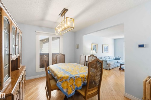 Dining area with light wood-finish flooring, a contemporary linear chandelier, and a large window - 31 Gariepy Crescent, Edmonton, AB 