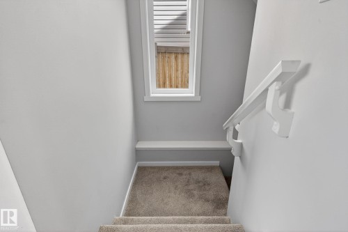 Carpeted staircase with light gray walls, a white handrail, and a window with white trim - 3456 Cutler Crescent, Edmonton, AB - Indoor Photo Showing Other Room
