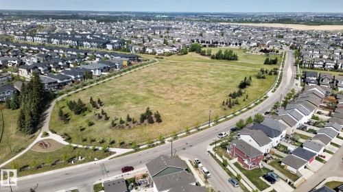 Expansive green space featuring mature trees and a paved pathway system, bordered by residential properties - 3456 Cutler Crescent, Edmonton, AB - Outdoor With View