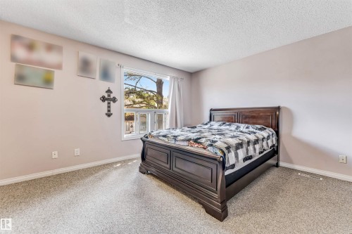 Neutral-toned walls complement plush carpeting - 24 1651 46 Street, Edmonton, AB 